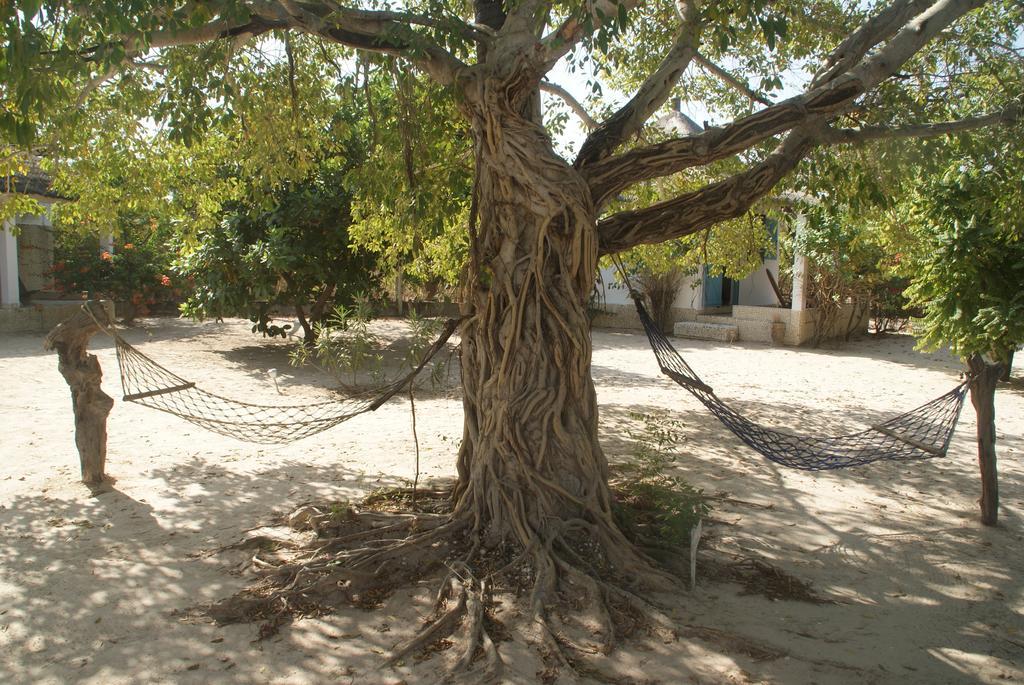 Bazouk Du Saloum Ecolodge Mar Lodj Δωμάτιο φωτογραφία