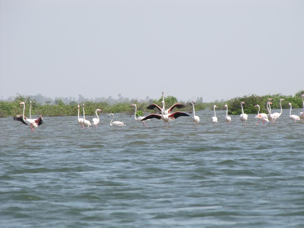 Bazouk Du Saloum Ecolodge Mar Lodj Εξωτερικό φωτογραφία